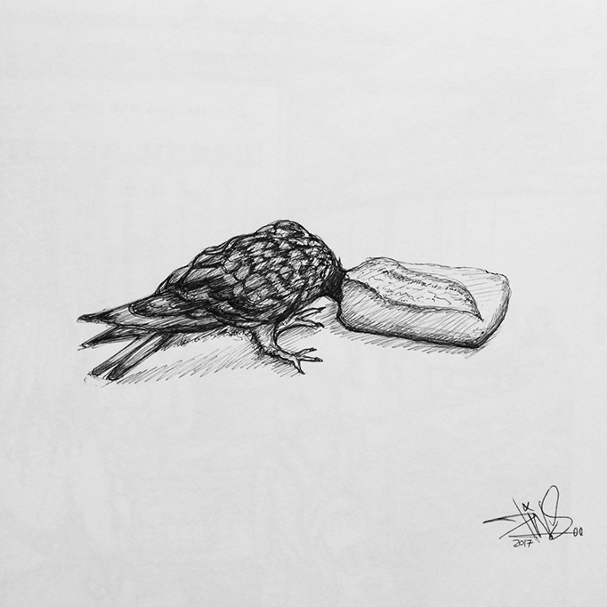 PIGEON BREAD PARIS